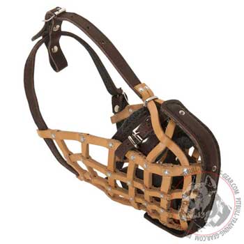 Training Adjustable Felt Padded Inside Leather Pit Bull Muzzle