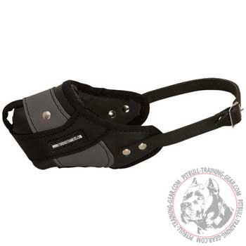 Agitation Training Pit Bull Muzzle