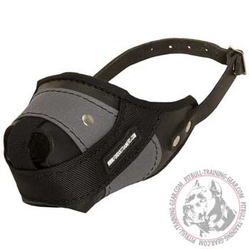 Leather-Nylon Muzzle for Pit Bull Reinforced with Metal Plate
