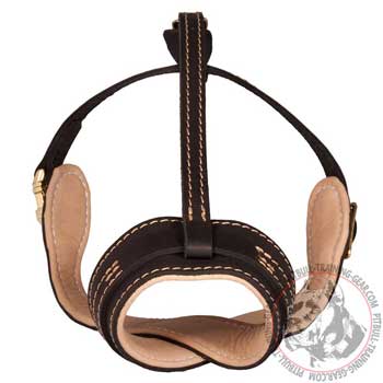 Comfy Pit Bull Muzzle Padded with Soft Nappa Leather