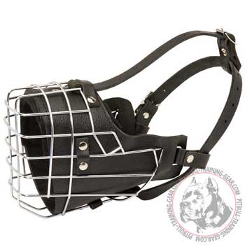 Training Leather Wire Cage Dog Muzzle for Pit Bull Padded with Soft Felt