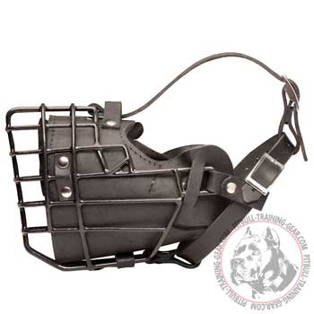 Rubber Covered Pit Bull Muzzle with Padding