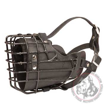 Antifreezing Muzzle for Pitbull with leather padding