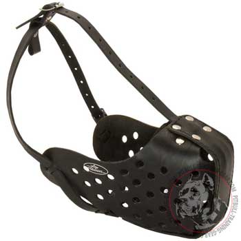 Pitbull muzzle for attack training reinforced in front part
