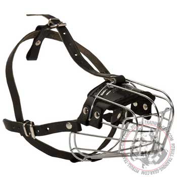 Pitbull muzzle metal basket