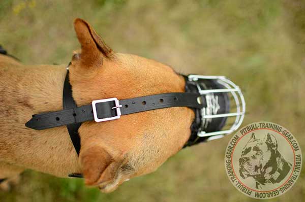 Pitbull Muzzle Wire Adjustable with Straps