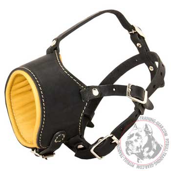 Leather Pitbull Muzzle Soft Nappa Padded for Better Comfort