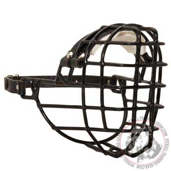 Wire basket Pitbull muzzle padded on nose