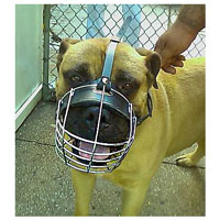 Wire Basket Dog Muzzle for American Pit Bull Terrier customer feedback