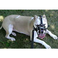 Wire Basket Dog Muzzle for American Pit Bull Terrier customer feedback