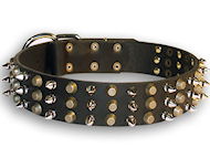 Awesome Leather Dog Collar for Pitbull Adorned with Spikes and Pyramids