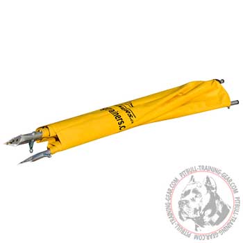 Small Schutzhund Training Pitbull Blind Can be Easily Dismantled